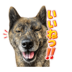 kairyouma_20260505185636