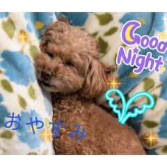 yuki_20260505185417