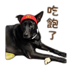 熊熊大狗