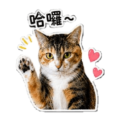 阿多子