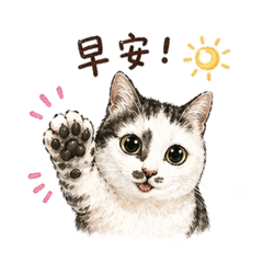 啾啾常用語