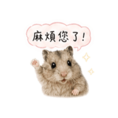 老師的叮嚀-1歲版