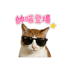 戳白～