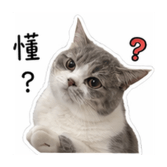 珍珠粉圓豆花