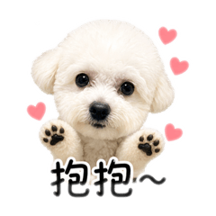 小九寶寶