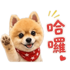 Cooper日常篇