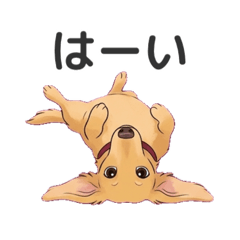 haru_20260505181403