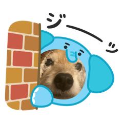 くうらいむ