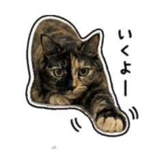 maimai_20260505181140