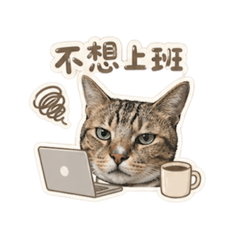 辦公室厭世貓貓