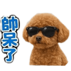 寶寶陪你每一天