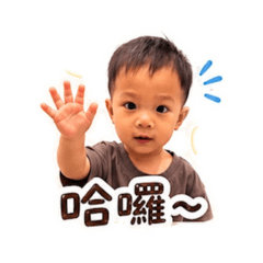 緯寶生活用語