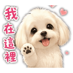 咩咩_從未離開過