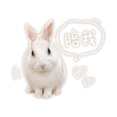 多肥日記
