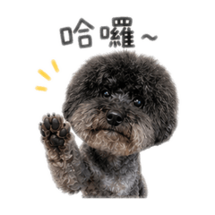 Bobe 狗狗的貼圖