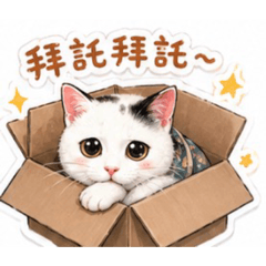 佰萬貓