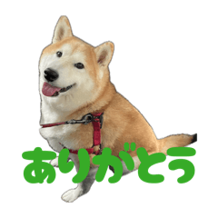YUKA_20260505103722
