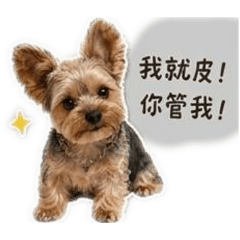 可可～