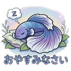 watao53_20260505103939
