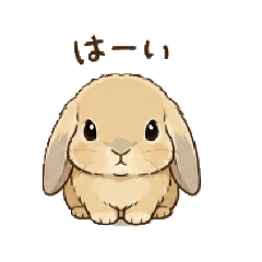ibumiomi_20260505103820