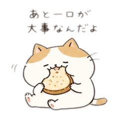 neko_20260505104629