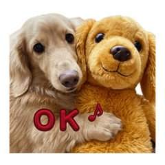potetodog_20260505