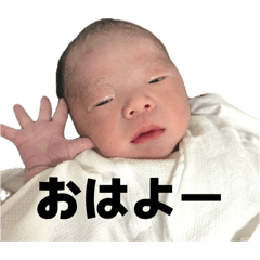 daisuke_20260505113102