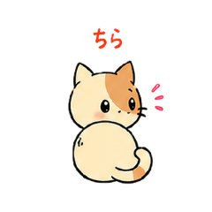 okaka_20260505191213