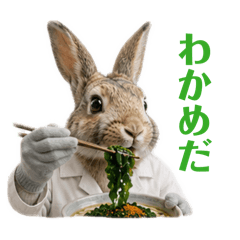 Piri&yumeisun_20260505192612
