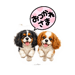momokan_20260505191605