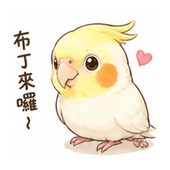 QQ張布丁
