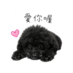 糖糖寶貝♥️