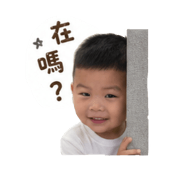 小毛2.00