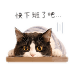 .厭世上班.