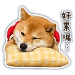 我叫多多！