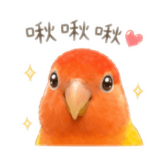 阿財小姊姊