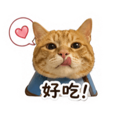 頭套反戴好舒服倪小橘