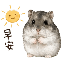 鼠餅的貼圖