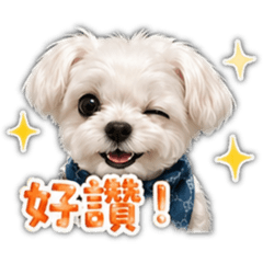 瑪爾濟斯Boss-日常實用回覆