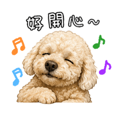 大頭仔第一彈-日常篇