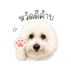 Krukaimook.mk_20260428143439