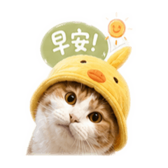 鄭漢堡