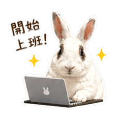 河馬work