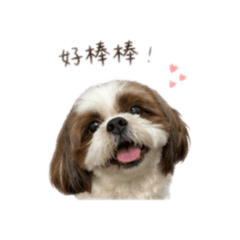 地獄火焰烈犬阿比