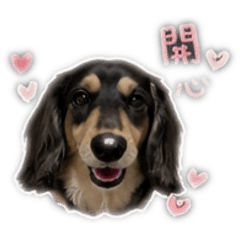 Toby Yeh的日常
