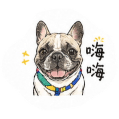Mickey的日常用語