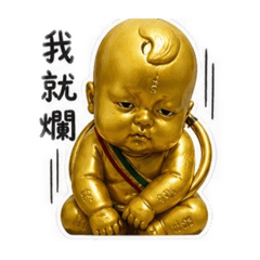 我家古曼寶寶