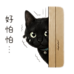 《本喵先咬再說：彭吉吉》