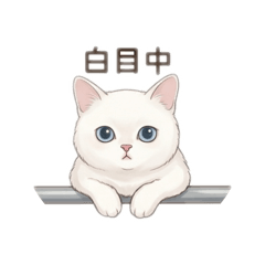 可愛小奶油