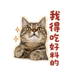 控控寶